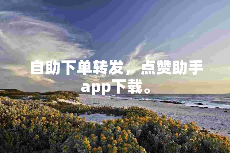 自助下单转发，点赞助手app下载。