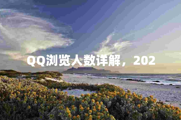 QQ浏览人数详解，2025年必学，全面掌握访问数据！
