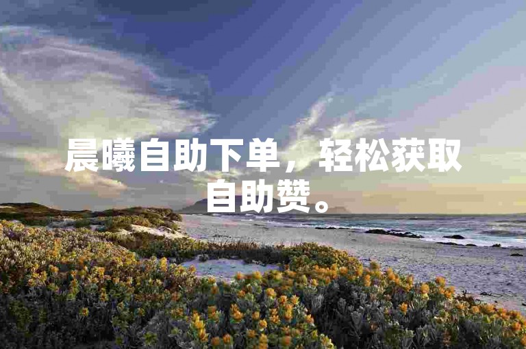 晨曦自助下单，轻松获取自助赞。