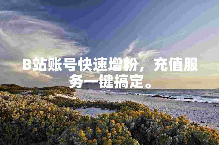 B站账号快速增粉，充值服务一键搞定。