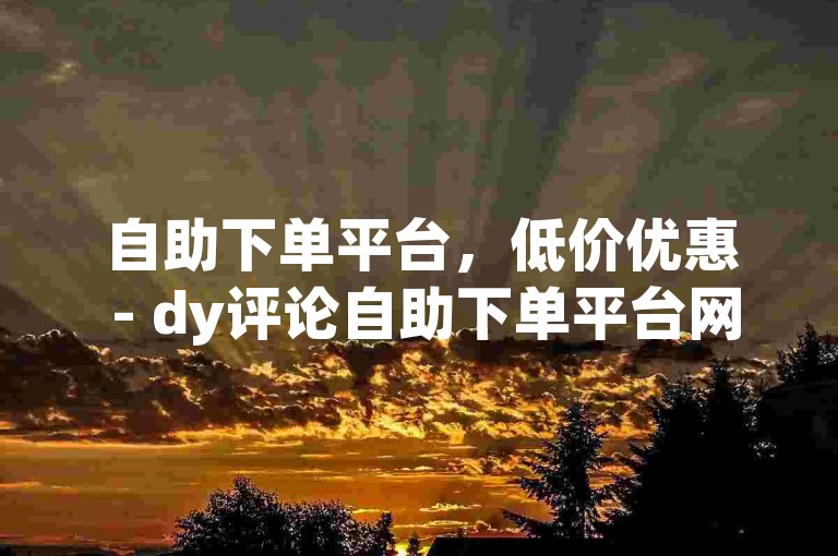自助下单平台，低价优惠 - dy评论自助下单平台网站
