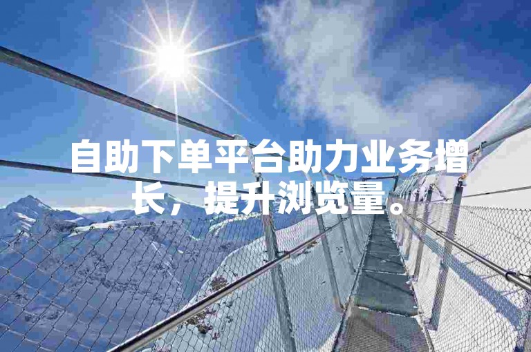 自助下单平台助力业务增长，提升浏览量。