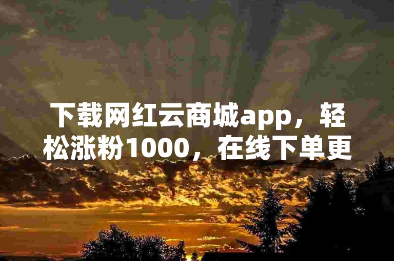 下载网红云商城app，轻松涨粉1000，在线下单更便捷。