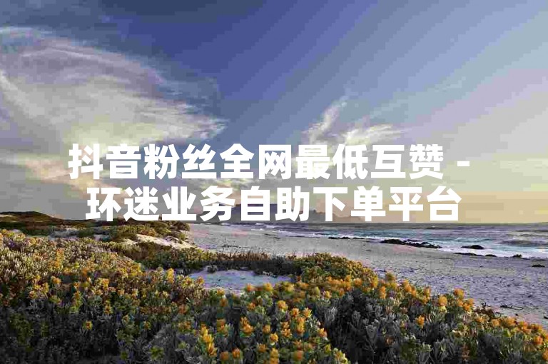 抖音粉丝全网最低互赞 - 环迷业务自助下单平台
