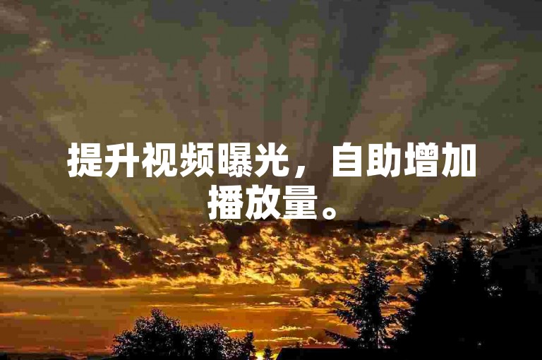 提升视频曝光，自助增加播放量。