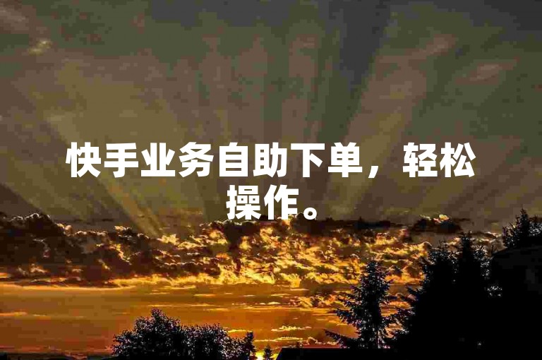 快手业务自助下单，轻松操作。
