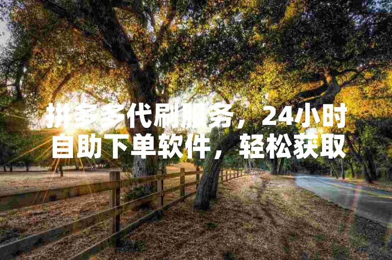 拼多多代刷服务，24小时自助下单软件，轻松获取优惠。