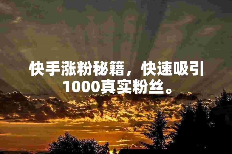 快手涨粉秘籍，快速吸引1000真实粉丝。
