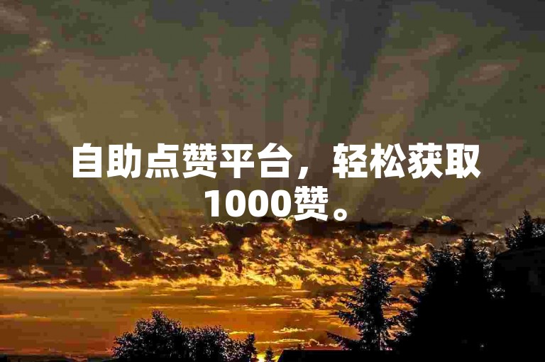自助点赞平台，轻松获取1000赞。