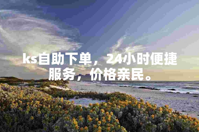 ks自助下单，24小时便捷服务，价格亲民。