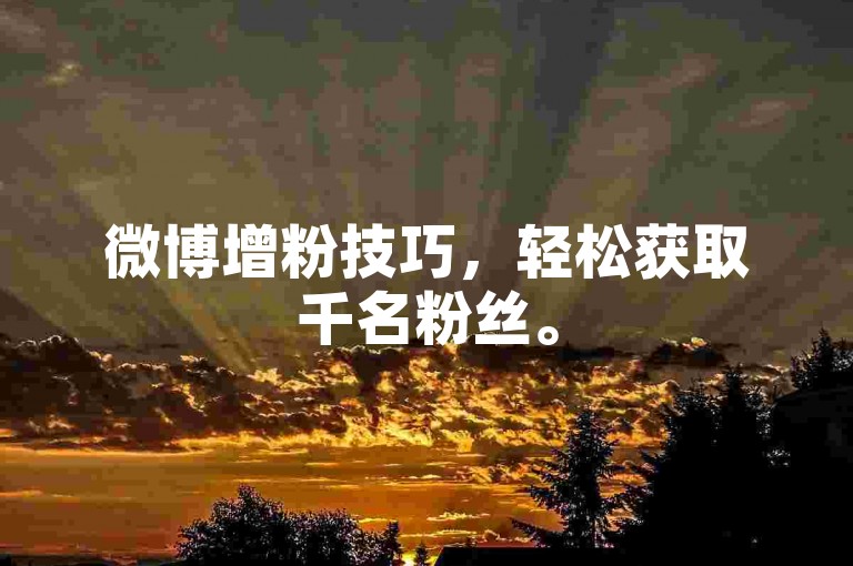 微博增粉技巧，轻松获取千名粉丝。