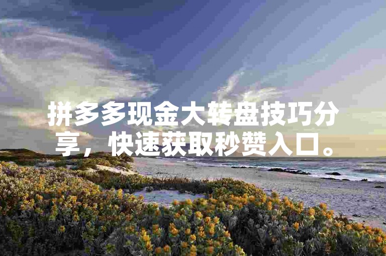 拼多多现金大转盘技巧分享，快速获取秒赞入口。