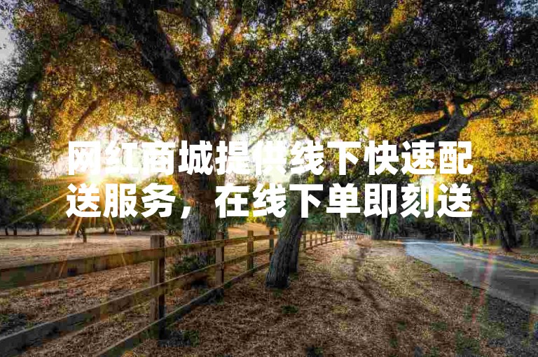 网红商城提供线下快速配送服务，在线下单即刻送达。