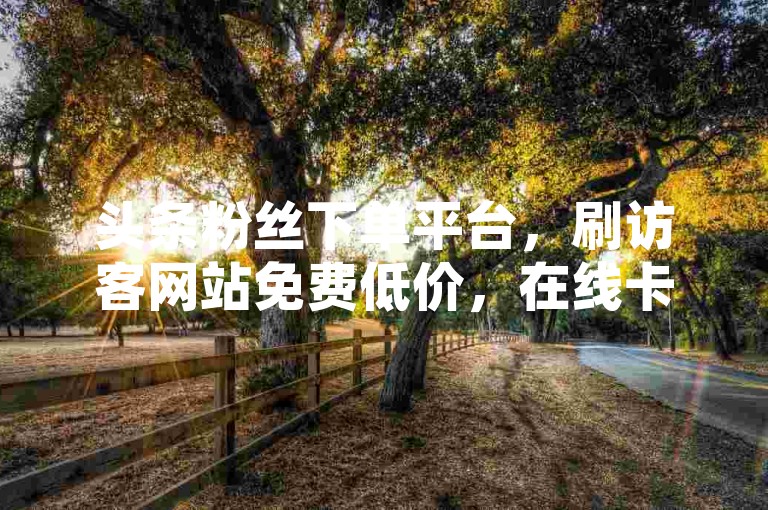 头条粉丝下单平台，刷访客网站免费低价，在线卡盟。