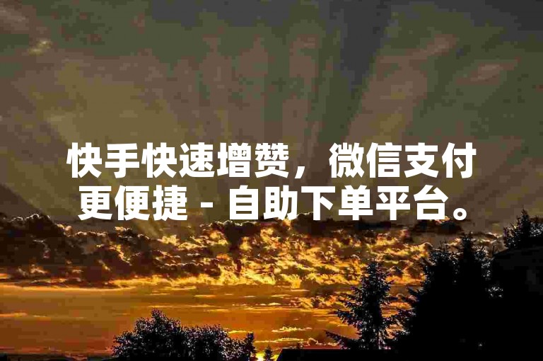 快手快速增赞，微信支付更便捷 - 自助下单平台。