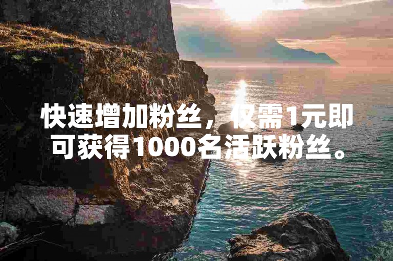 快速增加粉丝，仅需1元即可获得1000名活跃粉丝。