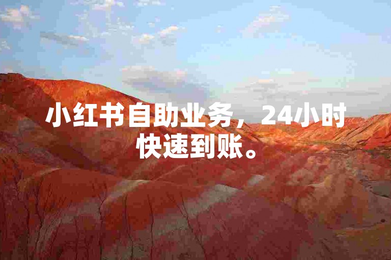 小红书自助业务，24小时快速到账。