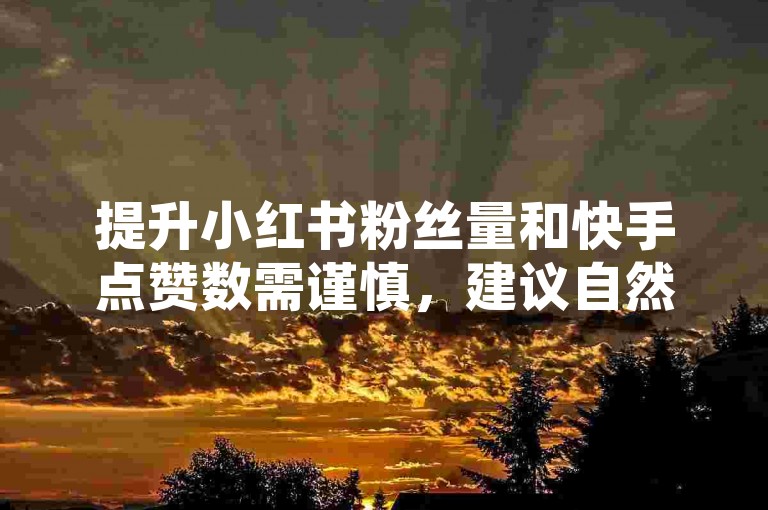 提升小红书粉丝量和快手点赞数需谨慎，建议自然增长。