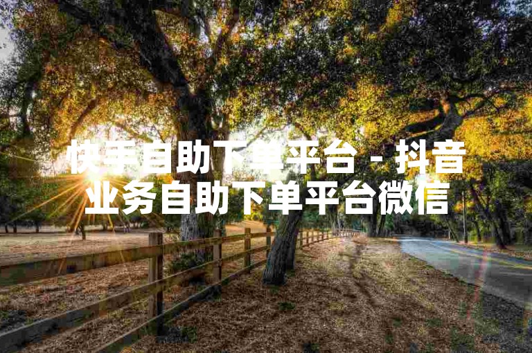 快手自助下单平台 - 抖音业务自助下单平台微信