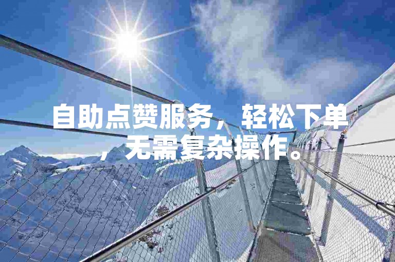 自助点赞服务，轻松下单，无需复杂操作。