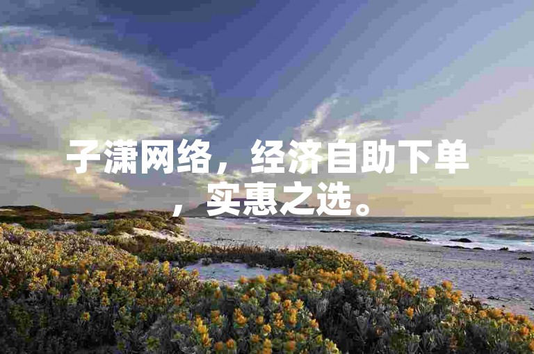 子潇网络，经济自助下单，实惠之选。