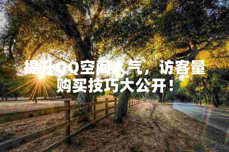 提升QQ空间人气，访客量购买技巧大公开！