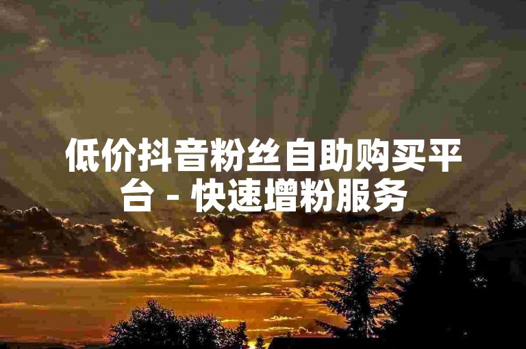 低价抖音粉丝自助购买平台 - 快速增粉服务