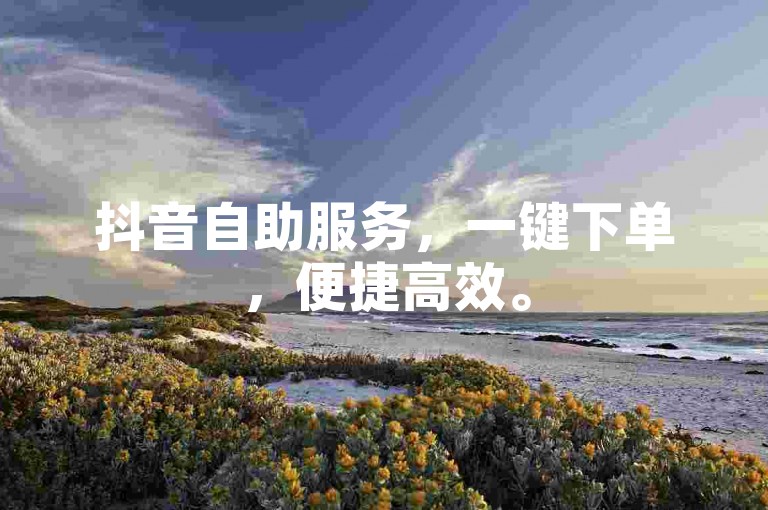 抖音自助服务，一键下单，便捷高效。