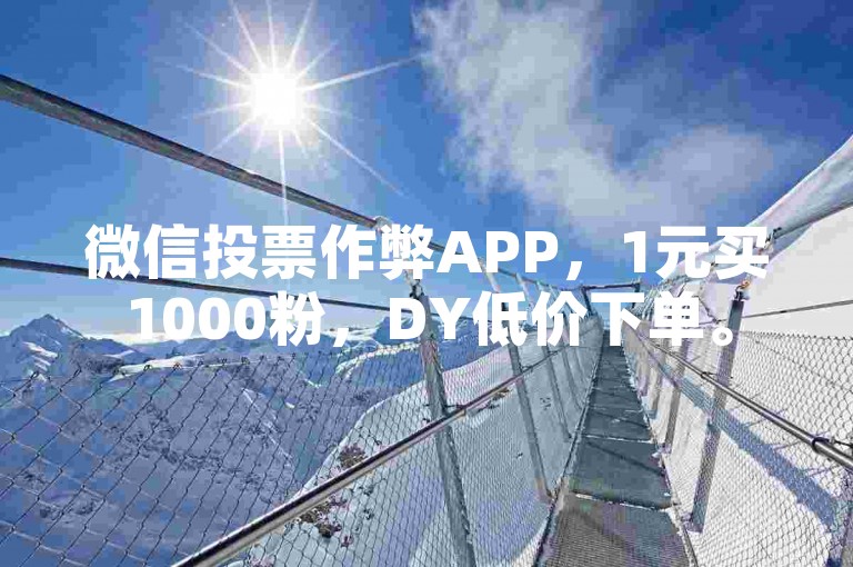 微信投票作弊APP，1元买1000粉，DY低价下单。