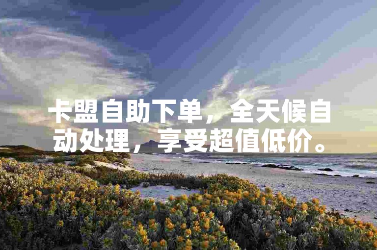 卡盟自助下单，全天候自动处理，享受超值低价。