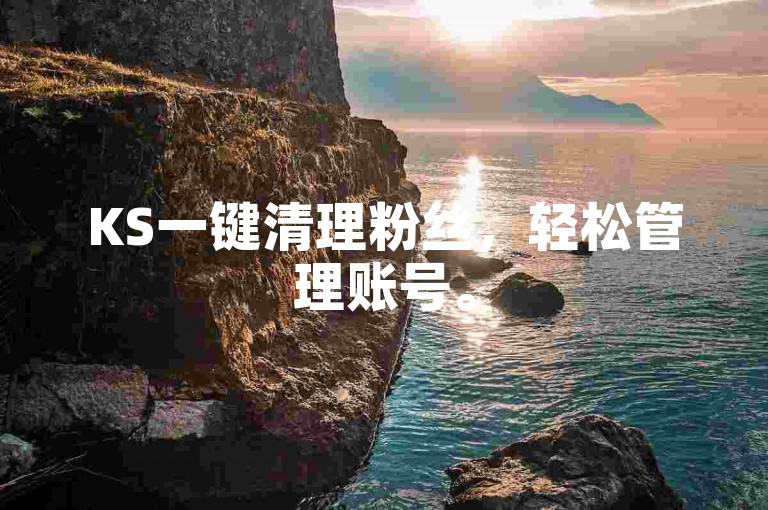 KS一键清理粉丝，轻松管理账号。
