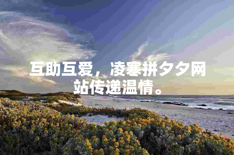 互助互爱，凌寒拼夕夕网站传递温情。