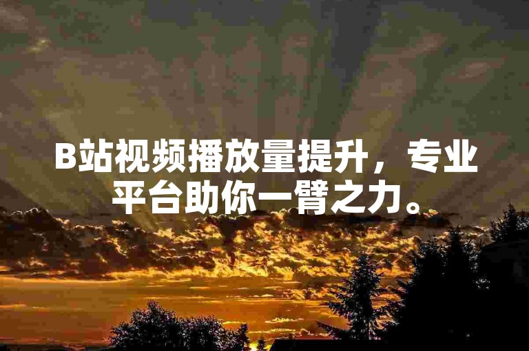 B站视频播放量提升，专业平台助你一臂之力。