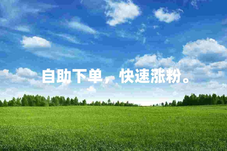 自助下单，快速涨粉。