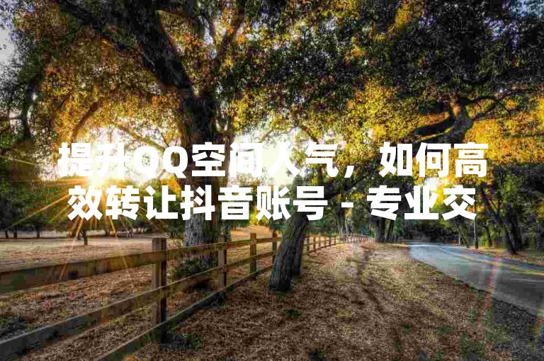 提升QQ空间人气，如何高效转让抖音账号 - 专业交易平台推荐