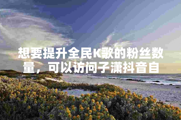 想要提升全民K歌的粉丝数量，可以访问子潇抖音自助下单平台。