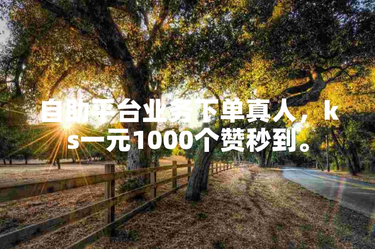 自助平台业务下单真人，ks一元1000个赞秒到。