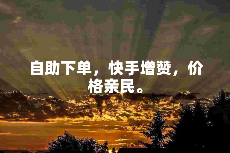 自助下单，快手增赞，价格亲民。
