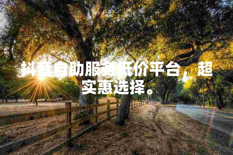 抖音自助服务低价平台，超实惠选择。