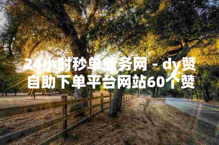 24小时秒单业务网 - dy赞自助下单平台网站60个赞