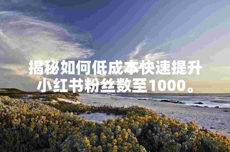 揭秘如何低成本快速提升小红书粉丝数至1000。