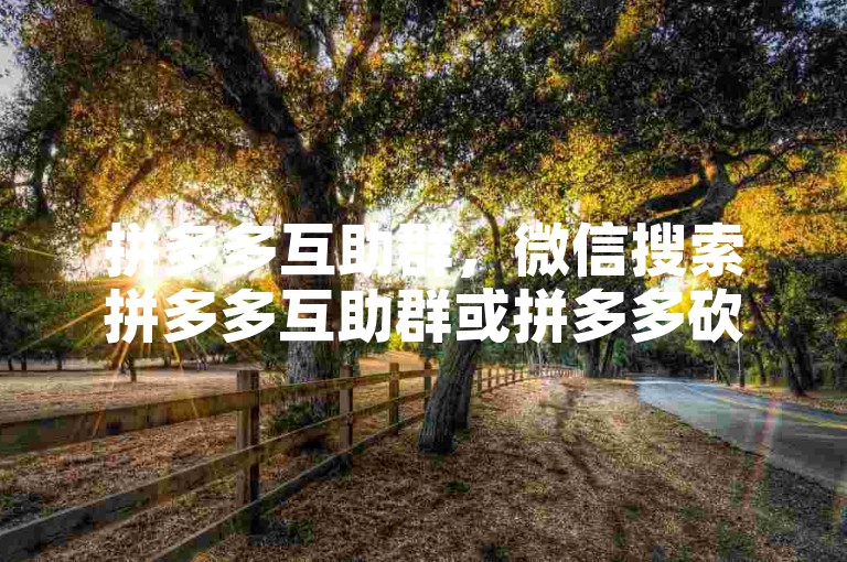 拼多多互助群，微信搜索拼多多互助群或拼多多砍价群，加入即可。