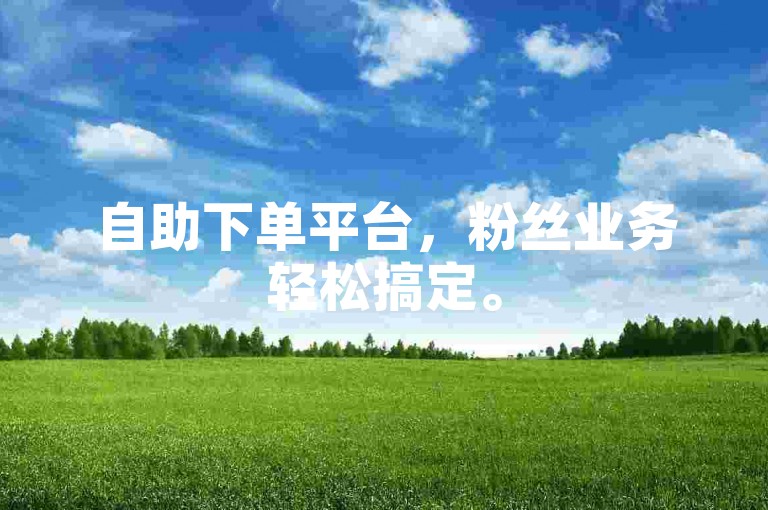 自助下单平台，粉丝业务轻松搞定。
