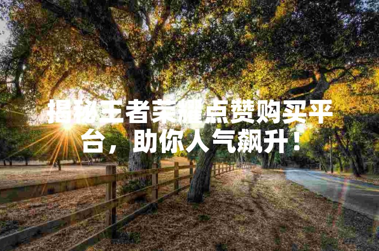 揭秘王者荣耀点赞购买平台，助你人气飙升！