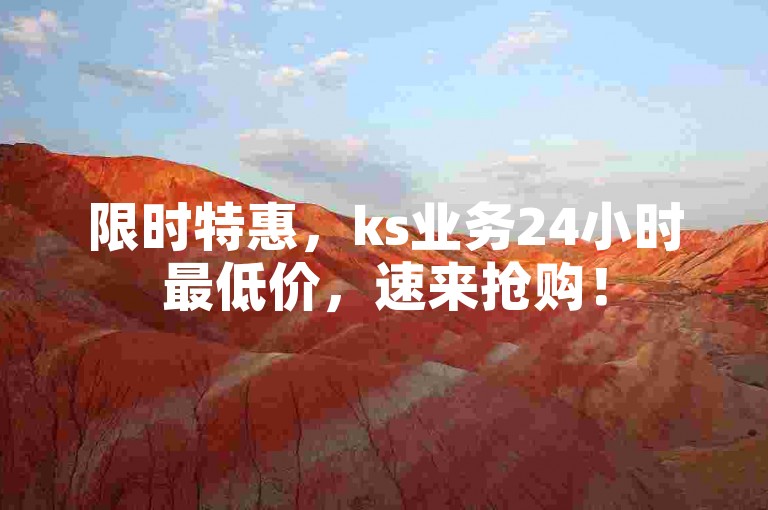 限时特惠，ks业务24小时最低价，速来抢购！