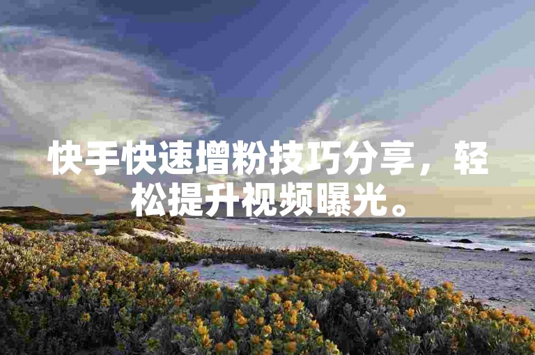 快手快速增粉技巧分享，轻松提升视频曝光。