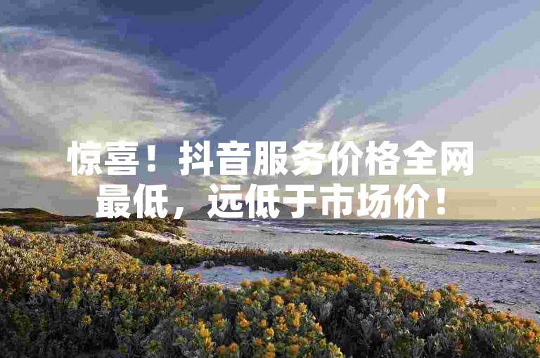 惊喜！抖音服务价格全网最低，远低于市场价！