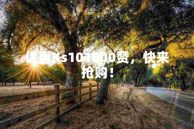 优惠Ks101000赞，快来抢购！