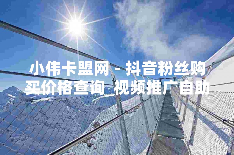 小伟卡盟网 - 抖音粉丝购买价格查询_视频推广自助下单服务