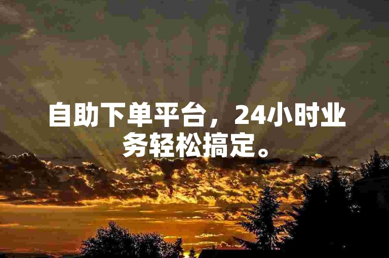 自助下单平台，24小时业务轻松搞定。